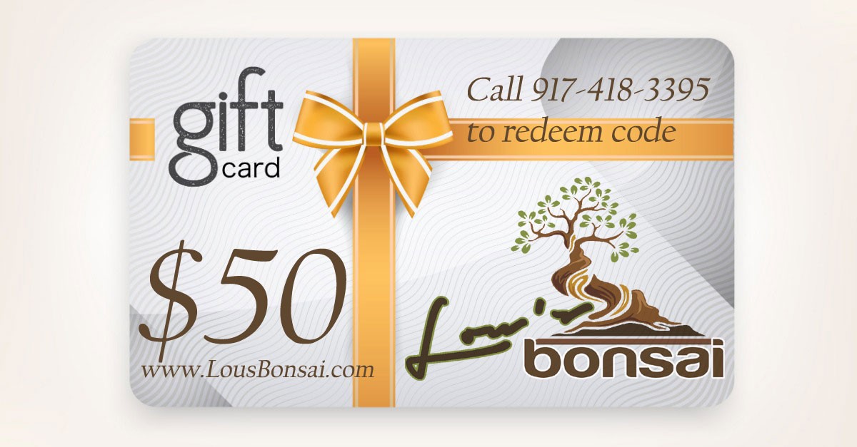 $50 GIFT CERTIFICATE
