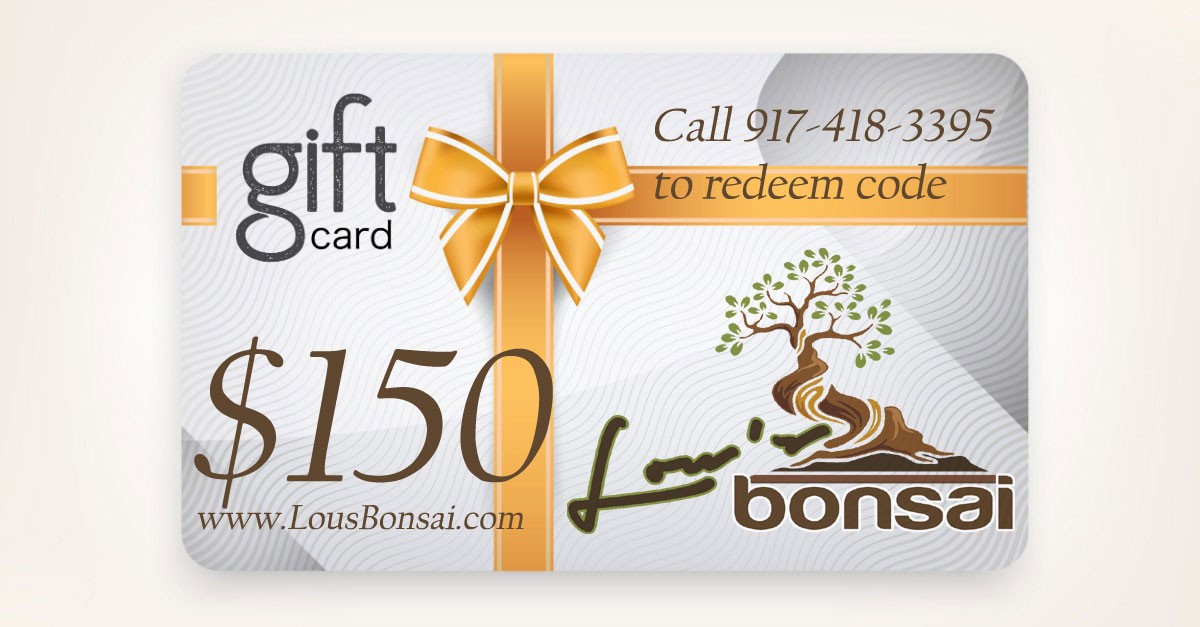 $150 GIFT CERTIFICATE