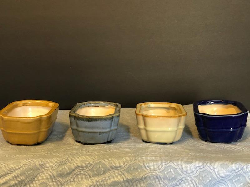 Mixed choice of 6inch pots. Pick any color.  Put color in gift message box.