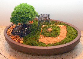 Baseball Bonsai Tree By Lousbonsai sold