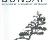 Beginning Bonsai