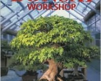 The Bonsai Workshop
